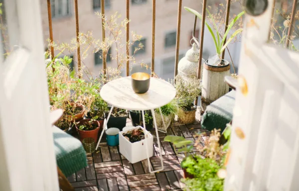 summer balcony__ (1)