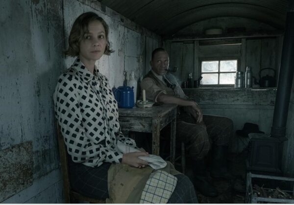 https://www.imdb.com/