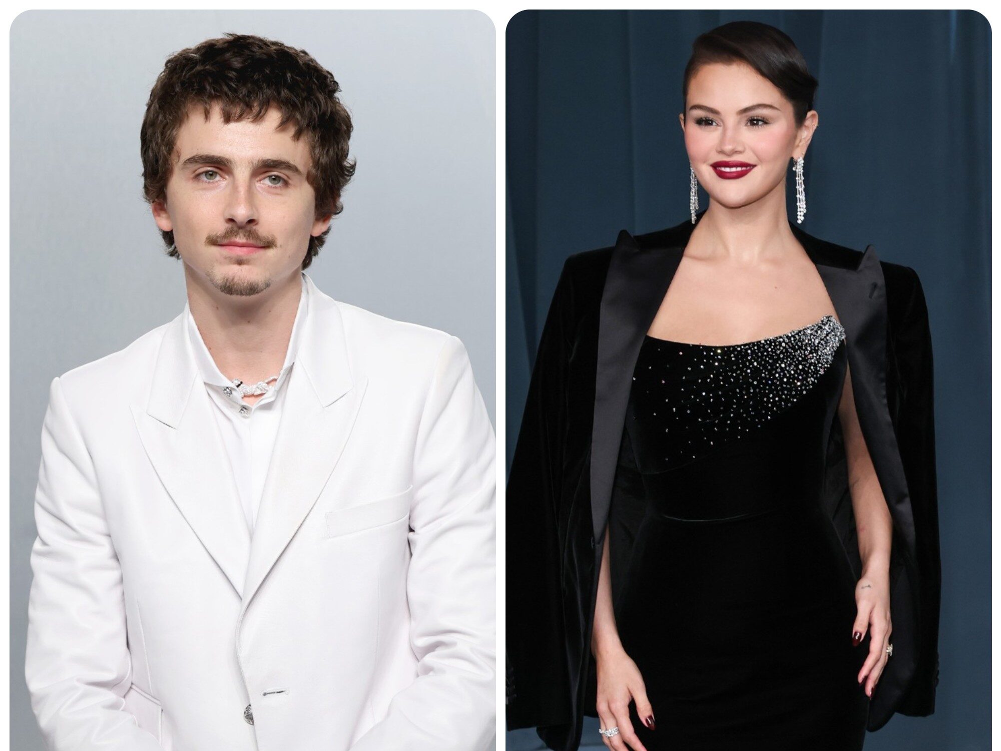 Selena Gomez και Timothée Chalamet ενώνουν δυνάμεις στη νέα animated ταινία «Not Alone»