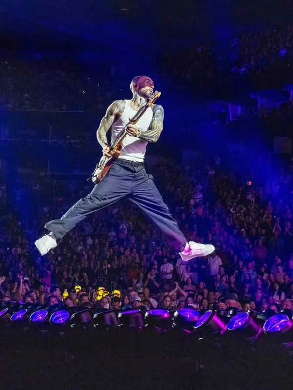 https://www.instagram.com/adamlevine/