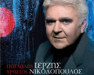 Εξώφυλλο τραγουδιού Αναδικατάστατος