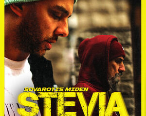 Εξώφυλλο τραγουδιού Stevia