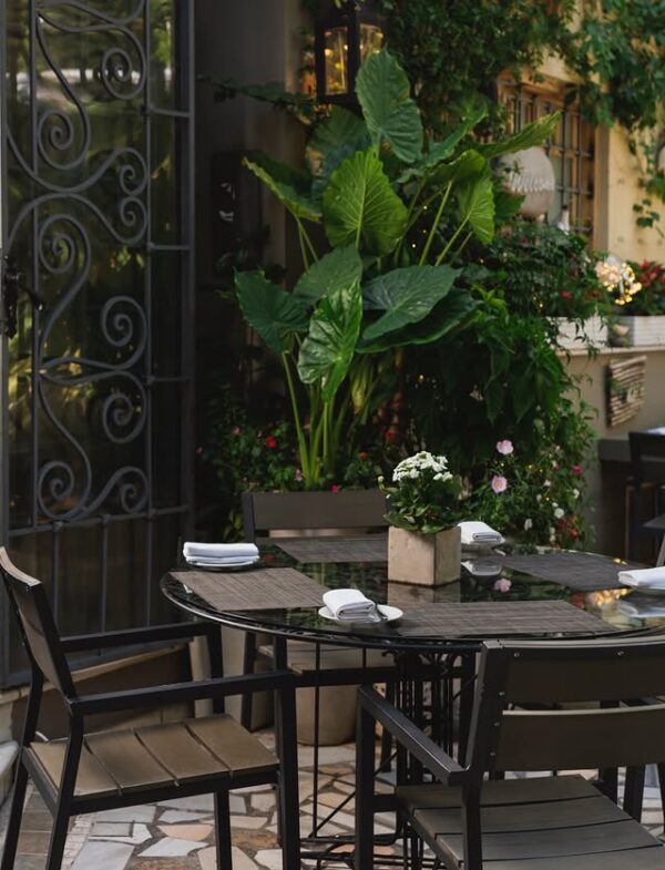 https://www.instagram.com/aleriarestaurant