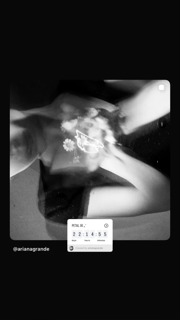 https://www.instagram.com/arianagrande/