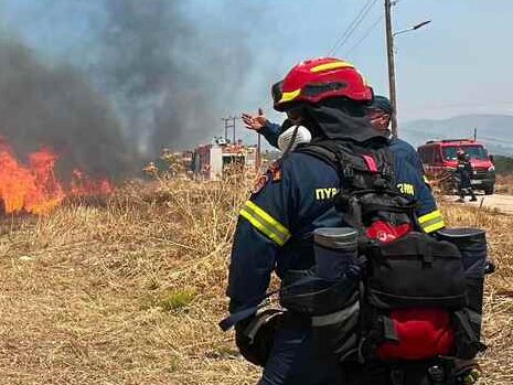 Μην γίνεις σαν αυτούς: Τι πρέπει να κάνεις με το κατοικίδιό σου όταν ξεσπάσει φωτιά