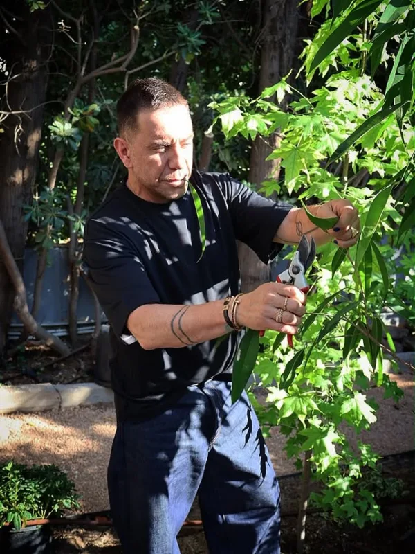 https://www.instagram.com/georgemazonakis/