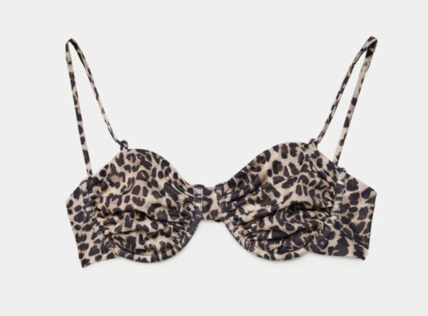 leopar_magio