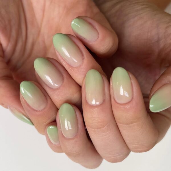 nixia_matcha
