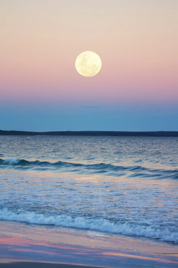 Πηγή: Unsplash