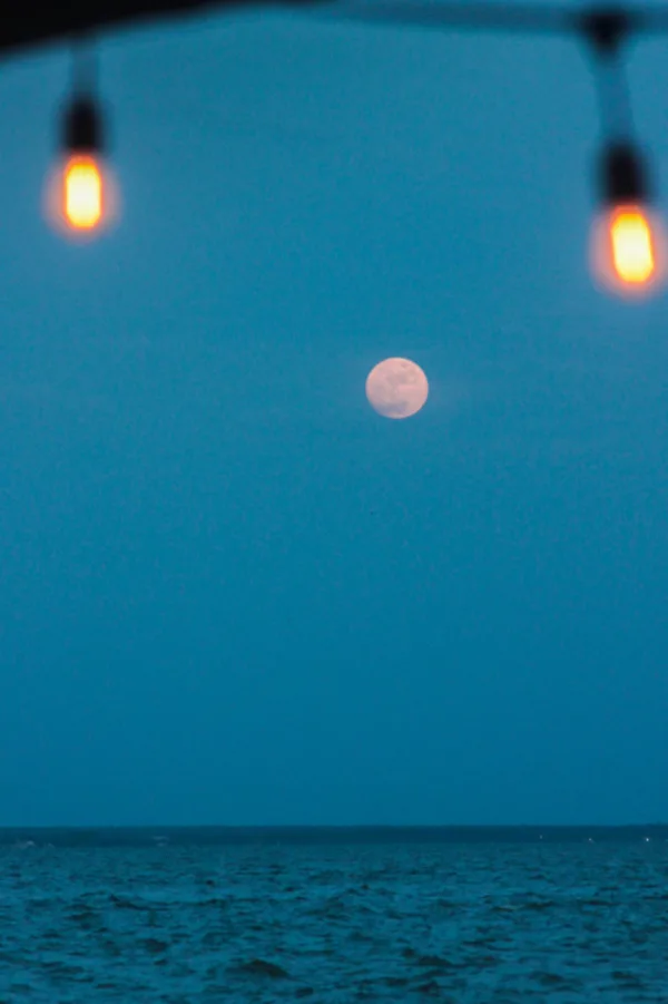 Πηγή: Pexels