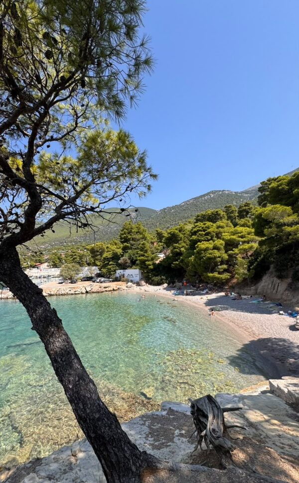 Πηγή: Πόπη Βσσιλείου