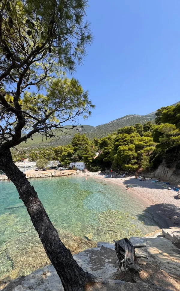 Πηγή: Πόπη Βσσιλείου