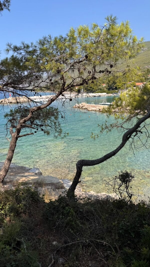 Πηγή: Πόπη Βσσιλείου