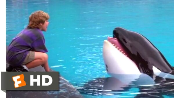 90’s alert! Το Free Willy ετοιμάζεται για δυναμικό comeback και οι millennials μόλις συγκινήθηκαν!