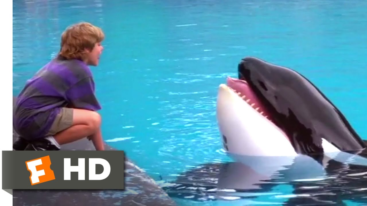 90’s alert! Το Free Willy ετοιμάζεται για δυναμικό comeback και οι millennials μόλις συγκινήθηκαν!