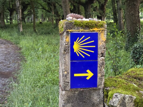 Σήμανση του Camino de Santiago με το σύμβολο του κοχυλιού και βέλος που δείχνει την κατεύθυνση του ταξιδιού.