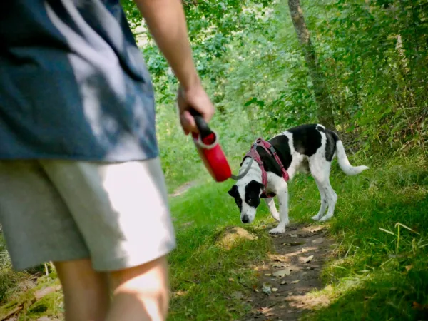 Πηγή: Unsplash