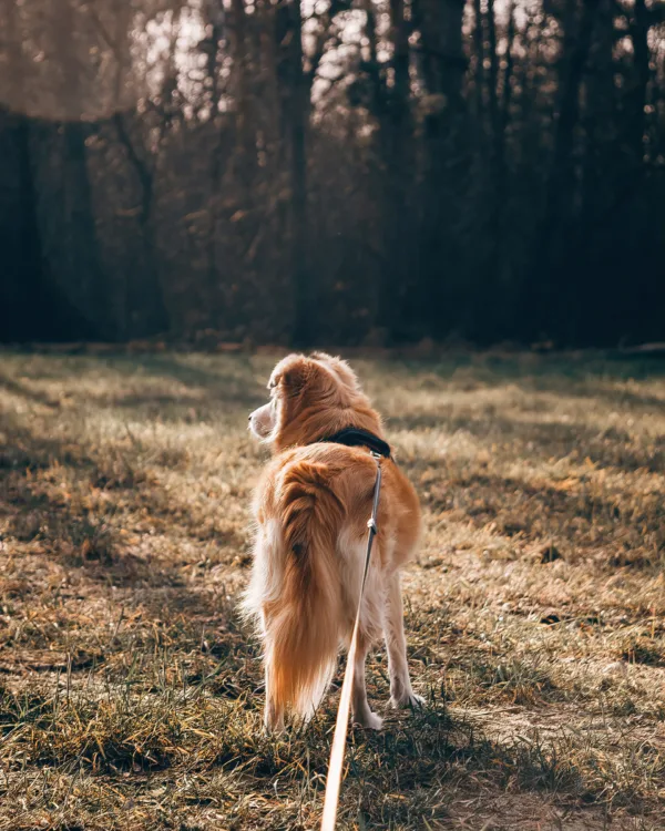 Πηγή: Unsplash