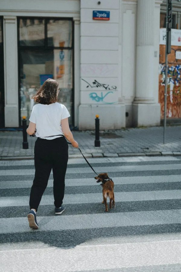 Πηγή: Unsplash