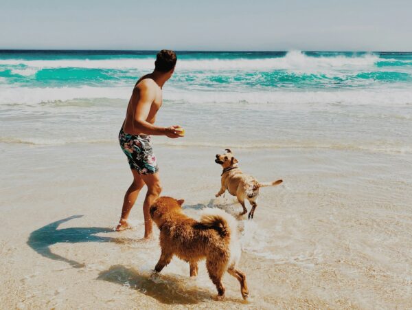 Ποιες είναι οι pet friendly παραλίες της Αττικής για ατελείωτες βουτιές με τον σκύλο σου