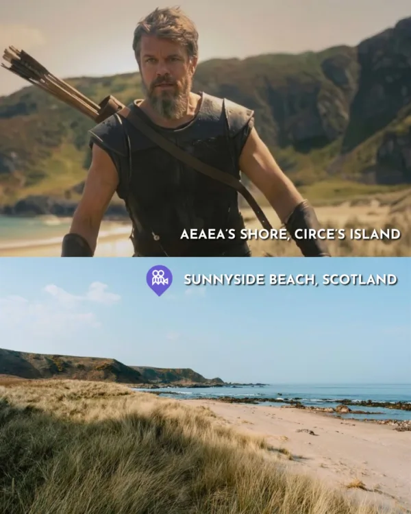 https://www.instagram.com/thefilmthusiasts/