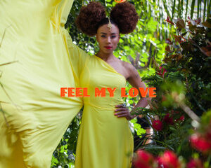Εξώφυλλο τραγουδιού Feel My Love