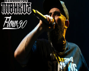 Εξώφυλλο τραγουδιού Flow 30