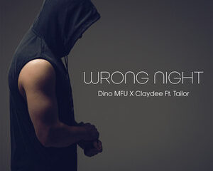 Εξώφυλλο τραγουδιού Wrong Night – Radio Edit