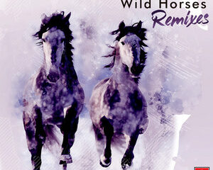 Εξώφυλλο τραγουδιού Wild Horses – Kyros Remix