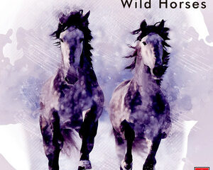 Εξώφυλλο τραγουδιού Wild Horses – Club Edit