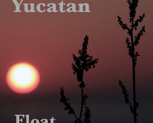 Εξώφυλλο τραγουδιού Float