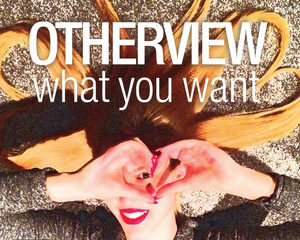 Εξώφυλλο τραγουδιού What You Want – Radio Edit