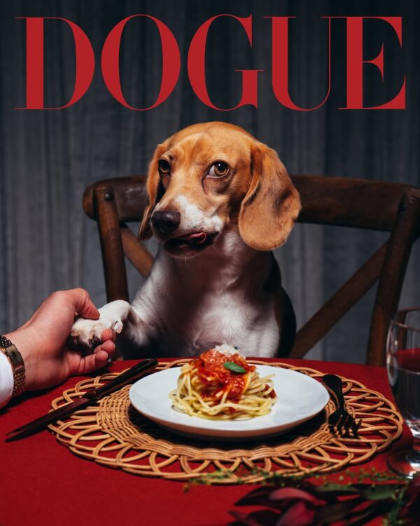 https://www.instagram.com/voguemagazine/