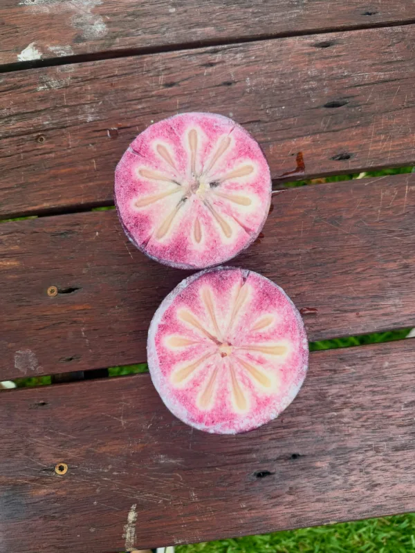 https://www.instagram.com/dutchesss_/