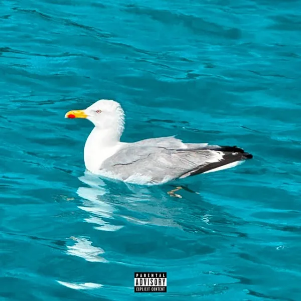 https://www.instagram.com/hawk_greco/