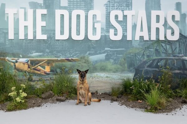 https://www.instagram.com/dogstarsmovie/