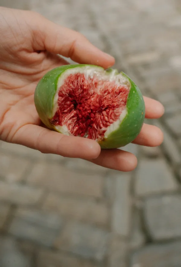 Πηγή: Unsplash