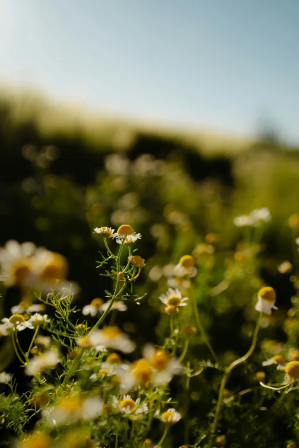 Πηγή: Unsplash