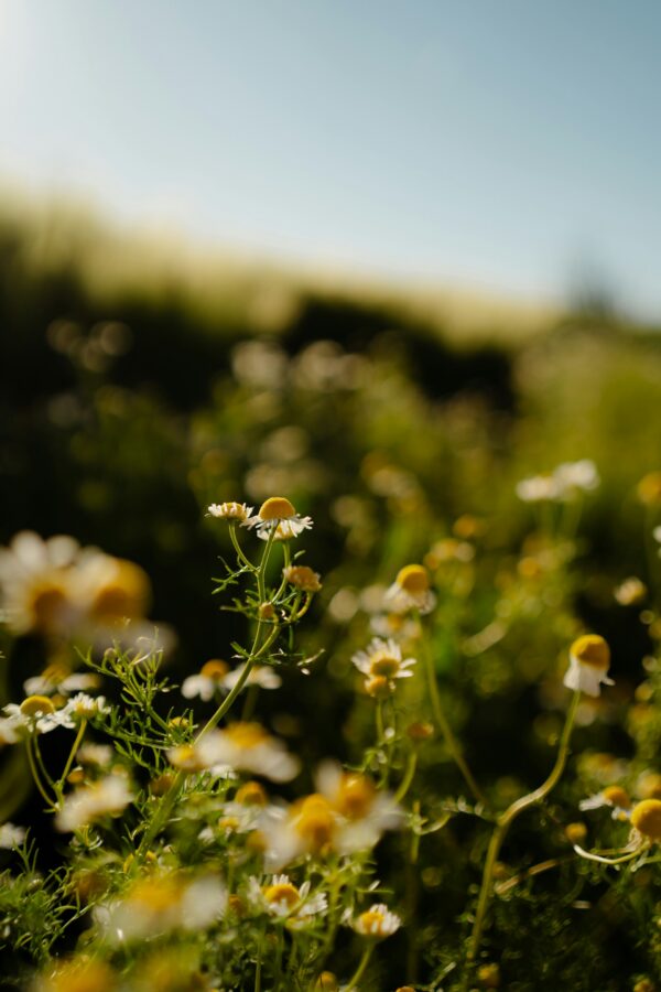Πηγή: Unsplash