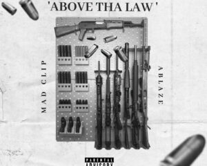 Εξώφυλλο τραγουδιού Above The Law