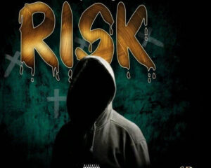 Εξώφυλλο τραγουδιού Risk