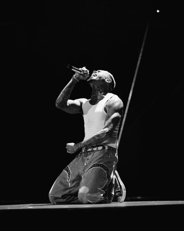 https://www.instagram.com/chrisbrownofficial/