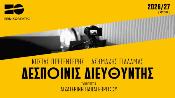 despoinis diefthintis_