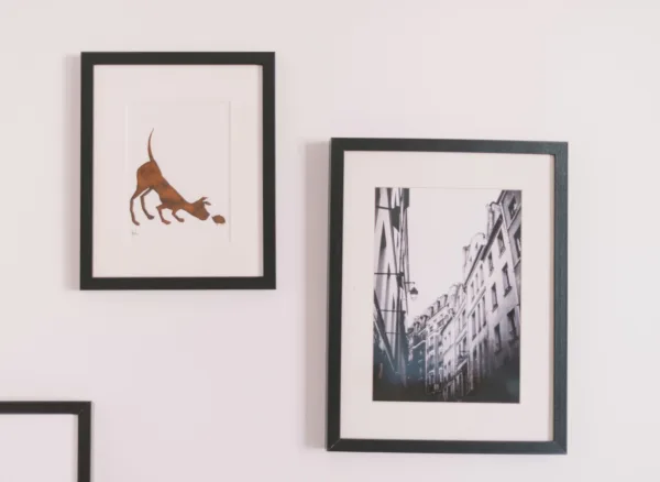 Unsplash