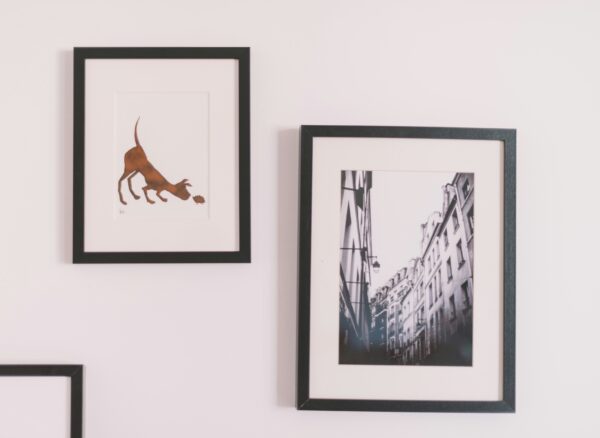 Unsplash