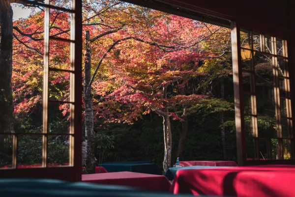 klavdia_japan