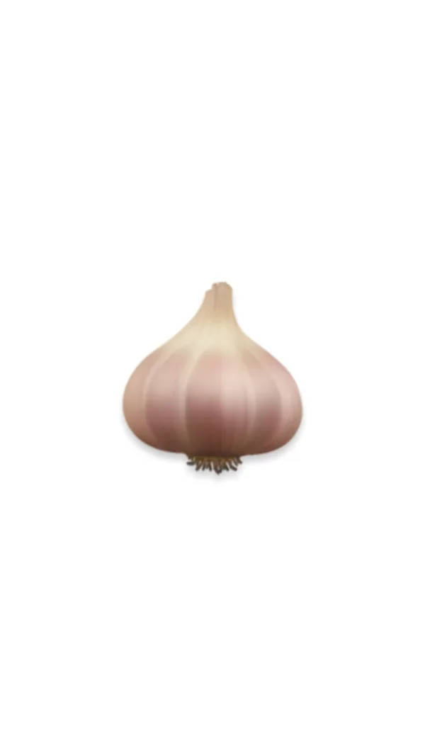 https://www.instagram.com/j.touni