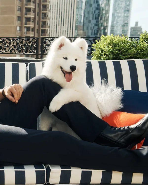 https://www.instagram.com/tommyhilfiger/