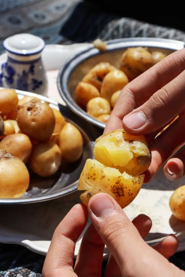 vrastes_patates_fagito