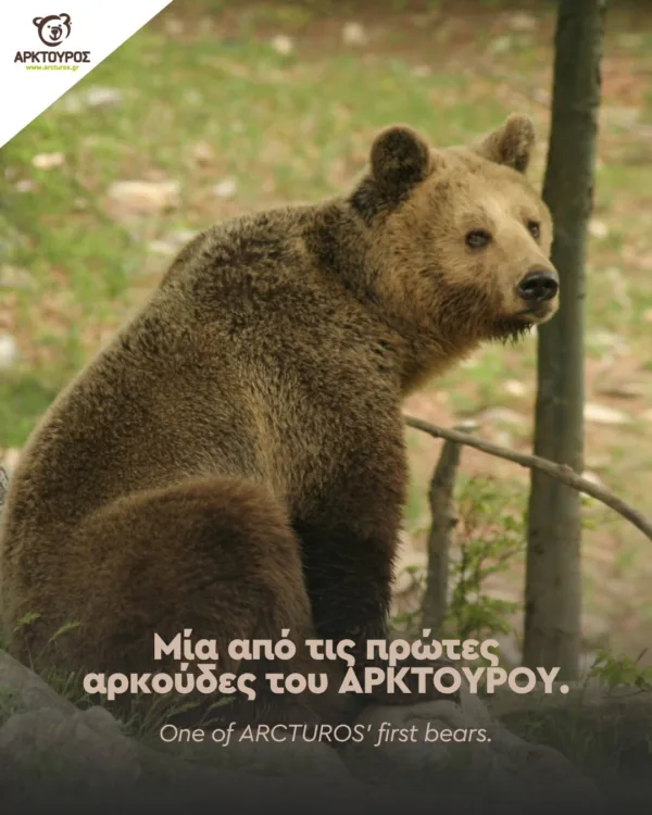 https://www.facebook.com/arcturosngo